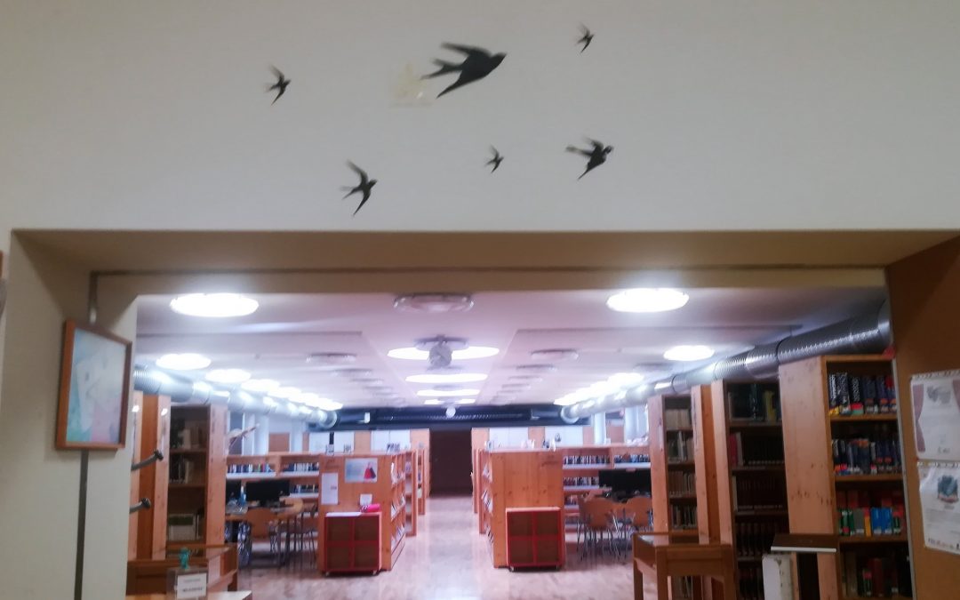 Escolas fechadas, bibliotecas abertas – a BAP na ESFRL