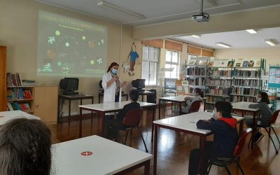 Alunos do 5.º ano descobrem a Biblioteca