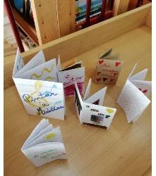 Livro instantâneo
