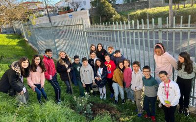 Plantação de árvores autóctones na José Saraiva